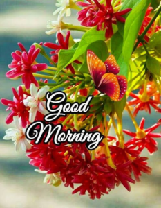 Good Morning Happy Tuesday images
