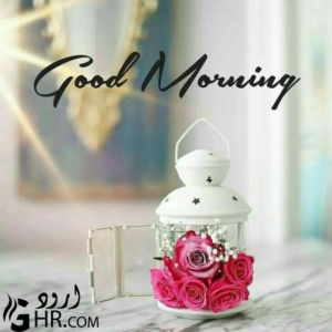 Good Morning Have a Great Day images