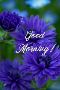 Good Morning Image