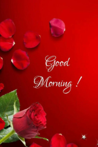 Good Morning Images and Quotes