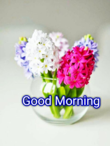 Good Morning Images for Wednesday