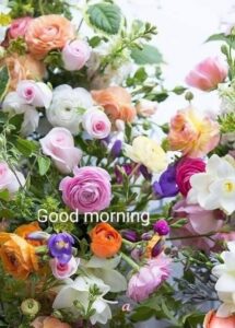 Good Morning Love images