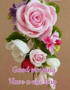 Good Morning My Friends images