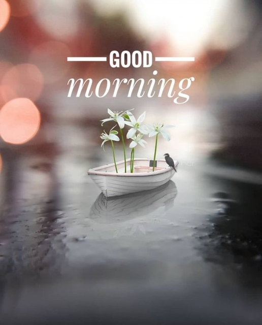 Good Morning Quotes with Beautiful Images