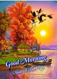 Good Morning Sister image