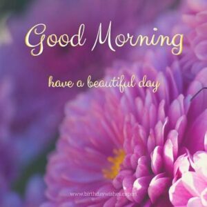 Good Morning Sister images