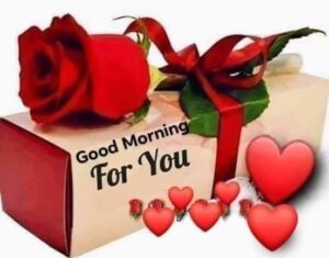 Good Morning Snow Images