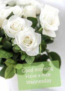 Good Morning Summer Images