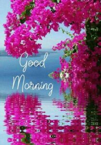 Good Morning Sunday Blessings images and Quotes