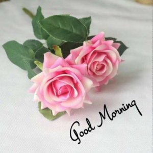 Good Morning Sunday images