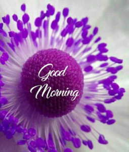 Good Morning Sunrise Images