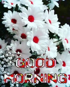 Good Morning Sunshine images