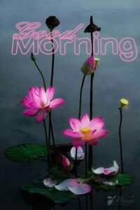 Good Morning Thursday GIF images