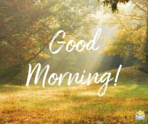 Good Morning Tuesday Images and Quotes