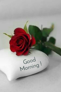 Good Morning Tuesday images