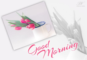 Good Morning images HD