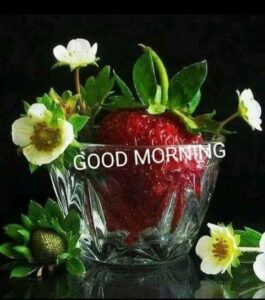 Good Morning images with Nature
