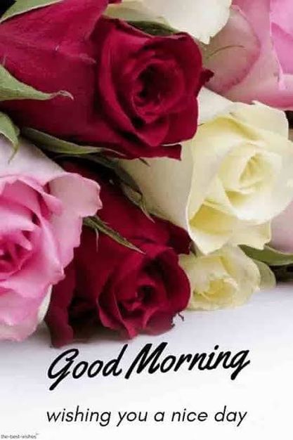 Good Morning with Flowers images