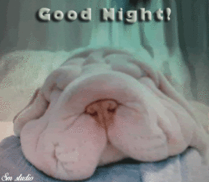 Good Night My Love GIFs