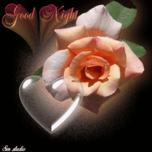 Good Night Rest Well GIF