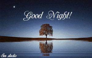 Good Night Roses GIF