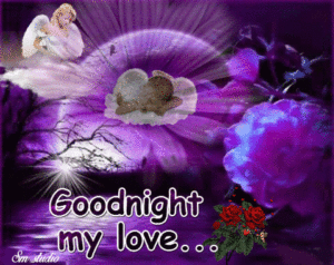 Good Night Sleep Tight GIFs