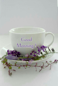 Good Tuesday Morning images