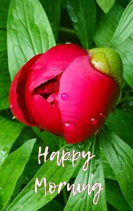 Good Wednesday Morning images