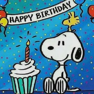 Happy Birthday Turtle images