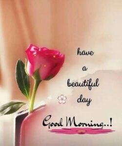 Happy Saturday Good Morning images