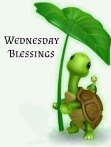 Happy Sunday Good Morning images