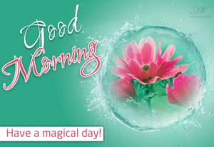 Images Good Morning