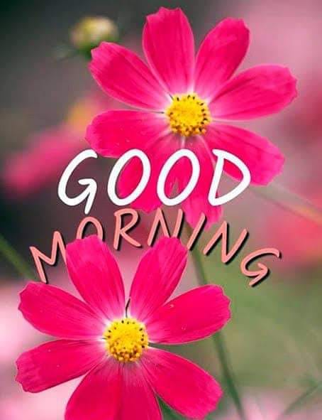 New Beautiful Good Morning images