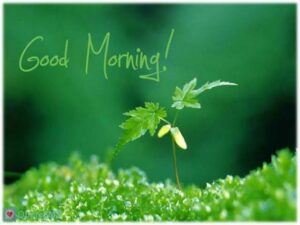 Positive Good Morning Thursday images