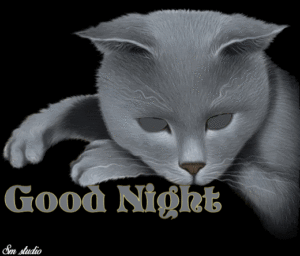 Romantic Couple Good Night GIF