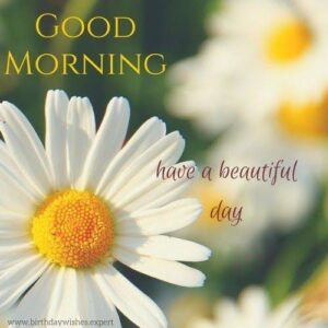 Saturday Good Morning images