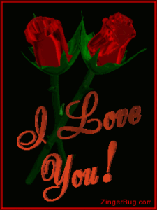 Star Wars I Love You I Know GIF