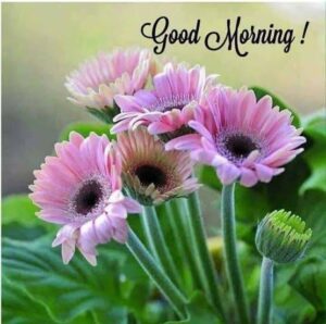 Sunday Good Morning images