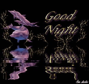 Teddy Bear Good Night GIF