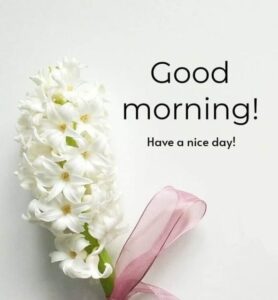 Thought Inspiration Thought Good Morning images