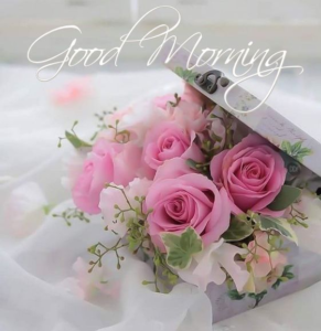 Tuesday Good Morning images