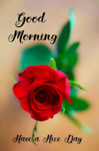 Wednesday Good Morning images